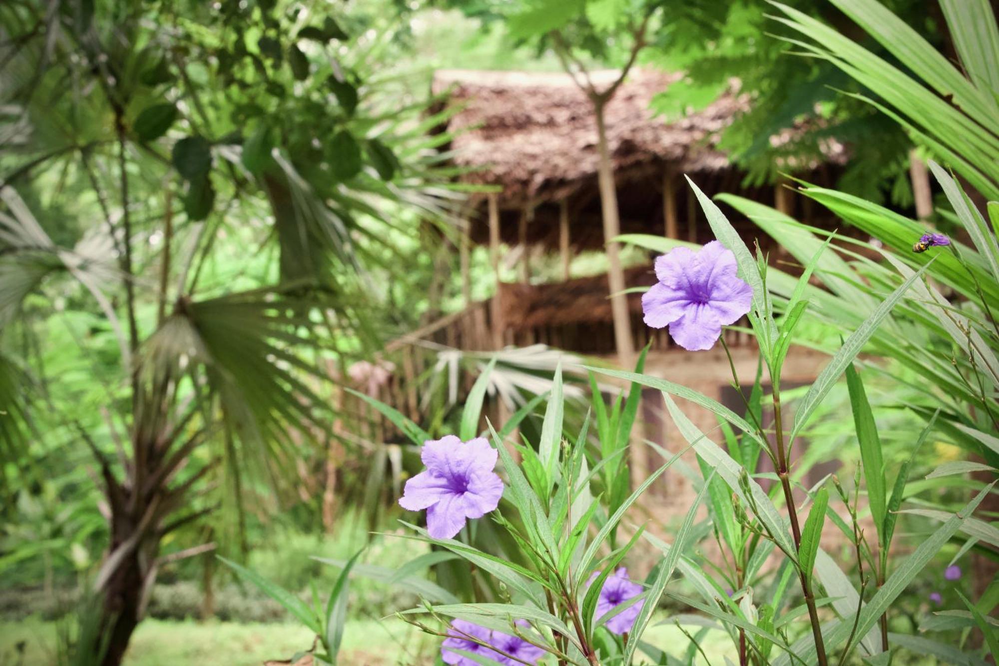 Baker Safari Company Villa Kwangwazi Exterior photo